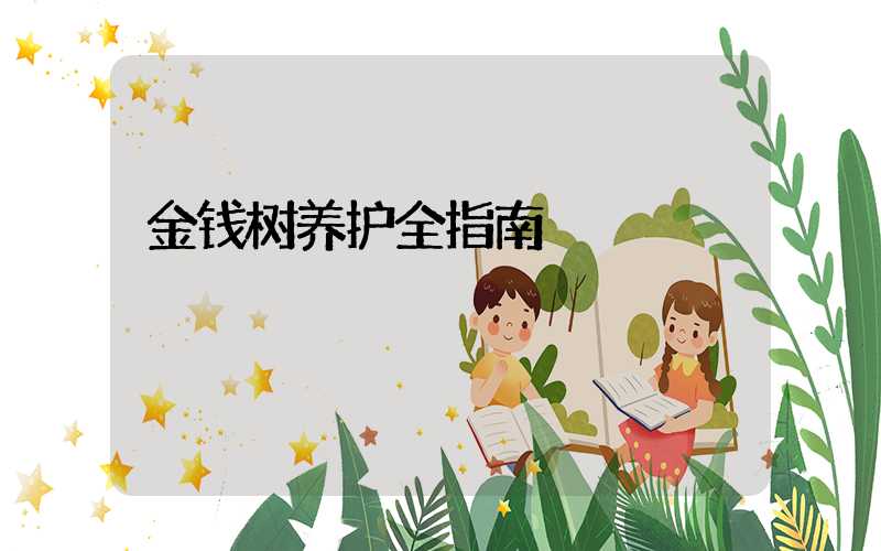 金钱树养护全指南