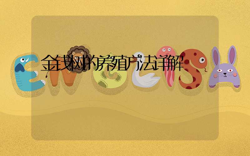 金钱树的养殖方法详解