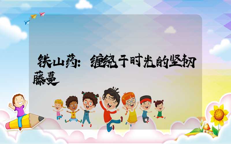 铁山药:缠绕于时光的坚韧藤蔓