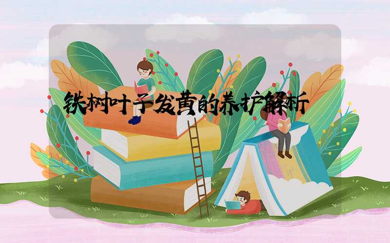 铁树叶子发黄的养护解析