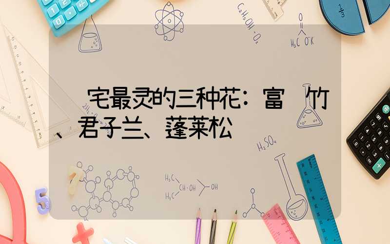 镇宅最灵的三种花:富贵竹、君子兰、蓬莱松