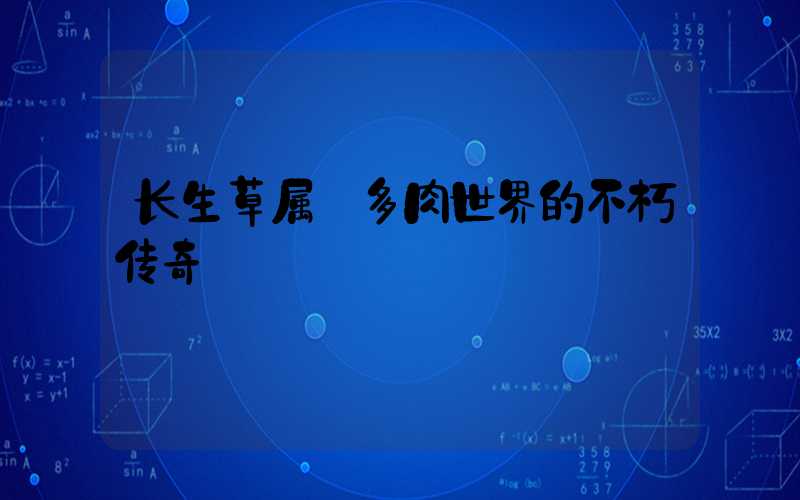 长生草属:多肉世界的不朽传奇