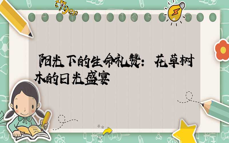 阳光下的生命礼赞:花草树木的日光盛宴