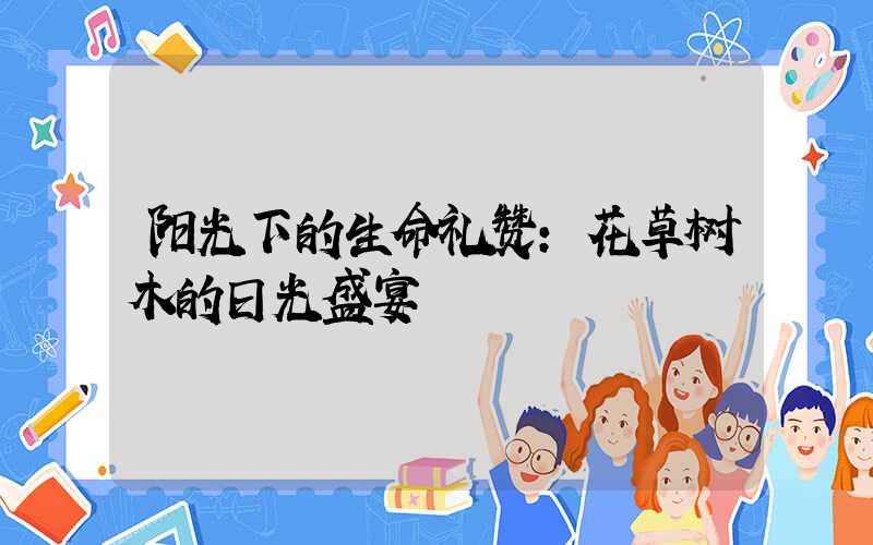 阳光下的生命礼赞：花草树木的日光盛宴