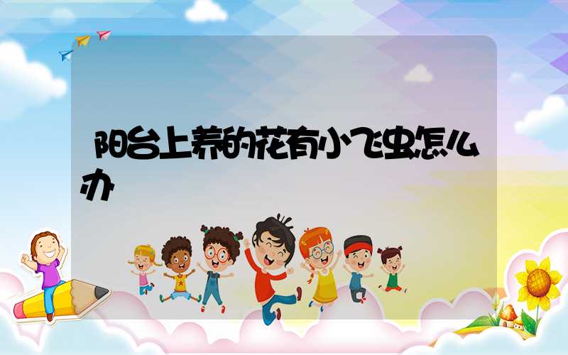 阳台上养的花有小飞虫怎么办