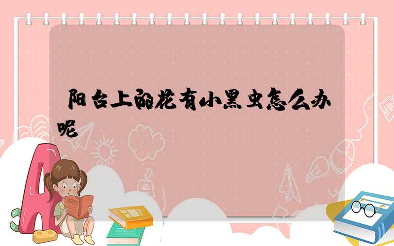 阳台上的花有小黑虫怎么办呢