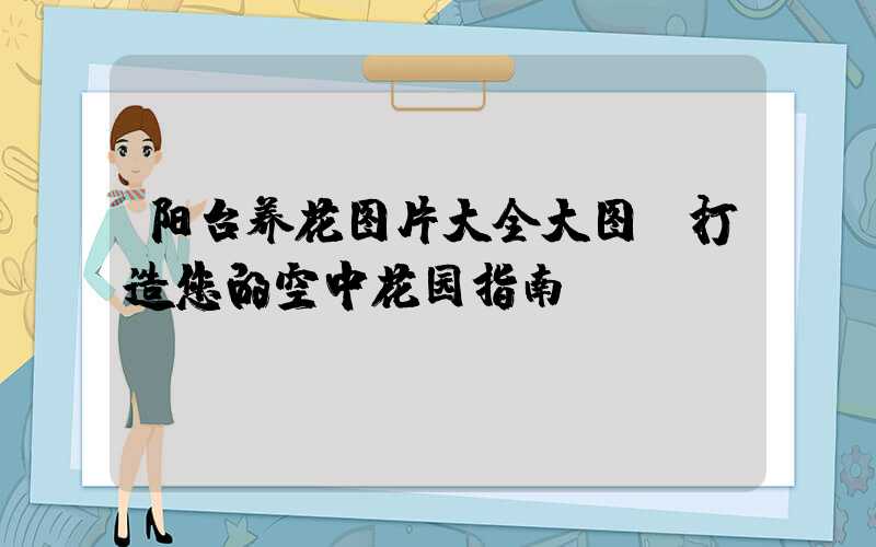 阳台养花图片大全大图：打造您的空中花园指南