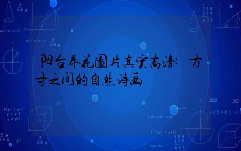 阳台养花图片真实高清:方寸之间的自然诗画