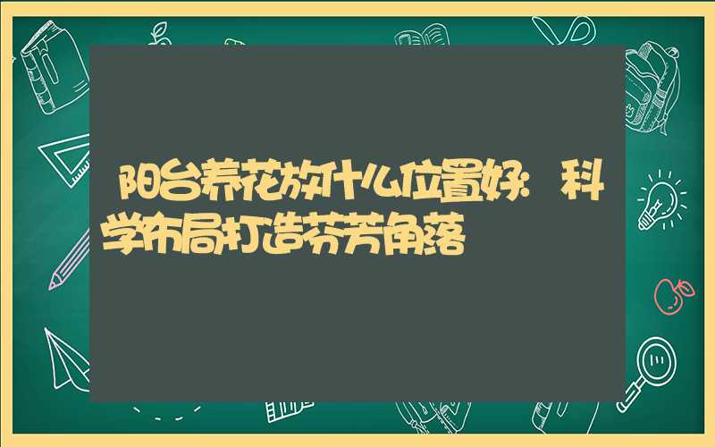 阳台养花放什么位置好:科学布局打造芬芳角落