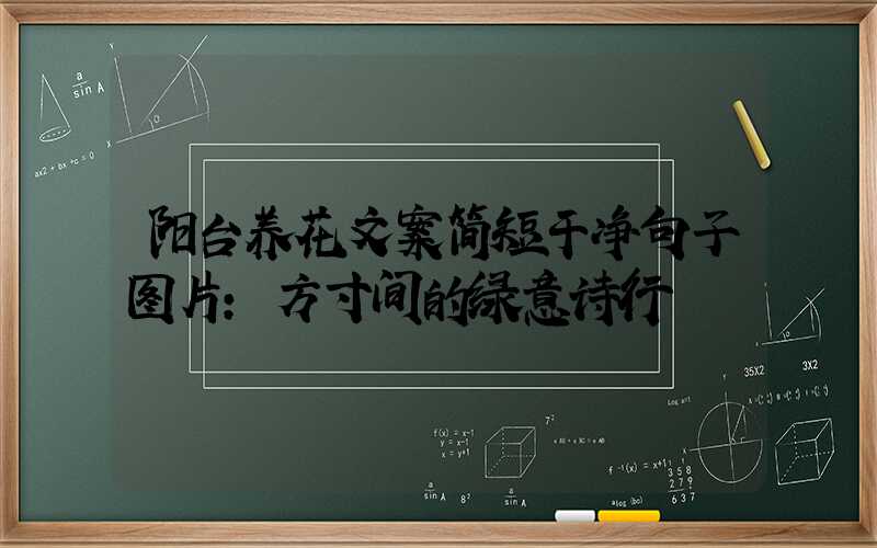 阳台养花文案简短干净句子图片：方寸间的绿意诗行