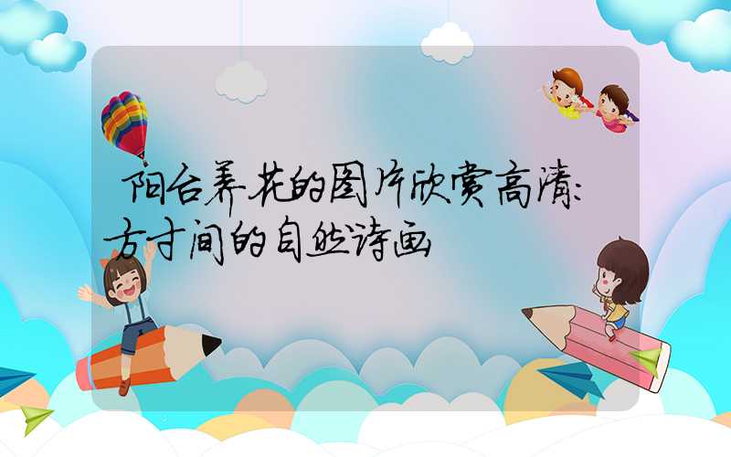 阳台养花的图片欣赏高清:方寸间的自然诗画