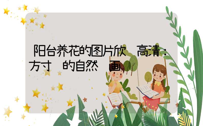 阳台养花的图片欣赏高清：方寸间的自然诗画