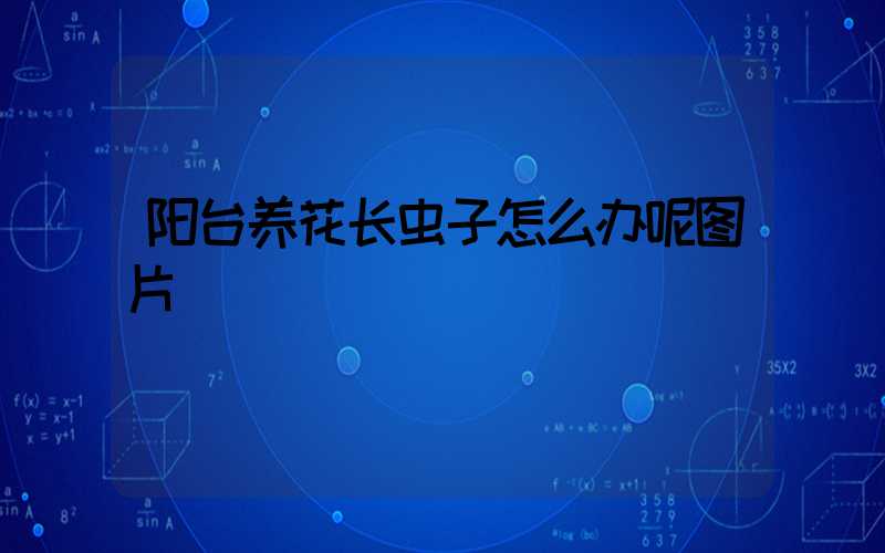 阳台养花长虫子怎么办呢图片