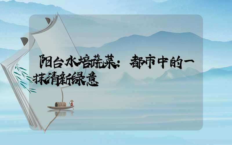 阳台水培蔬菜:都市中的一抹清新绿意