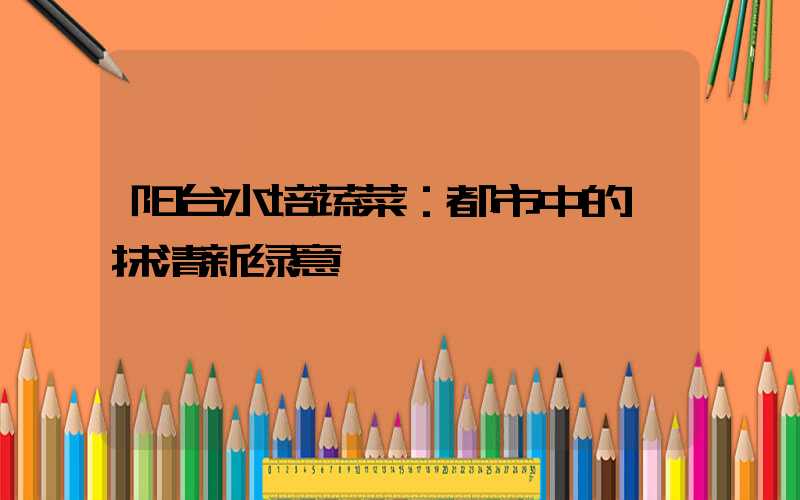 阳台水培蔬菜：都市中的一抹清新绿意