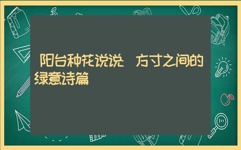 阳台种花说说:方寸之间的绿意诗篇