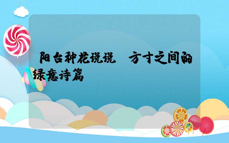 阳台种花说说：方寸之间的绿意诗篇