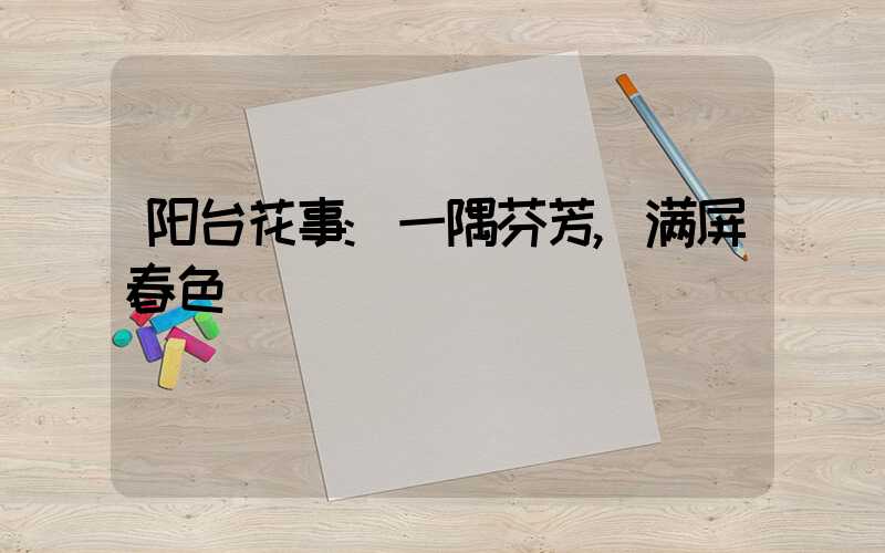 阳台花事:一隅芬芳,满屏春色