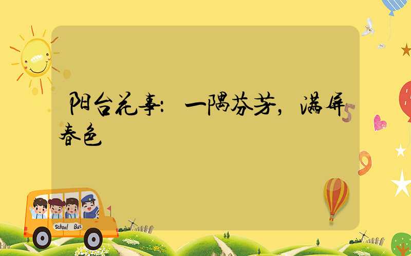 阳台花事：一隅芬芳，满屏春色