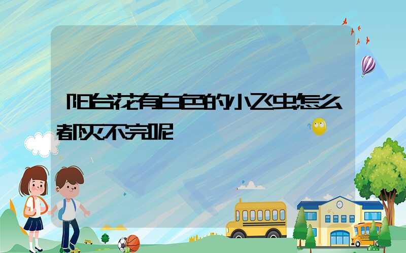 阳台花有白色的小飞虫怎么都灭不完呢