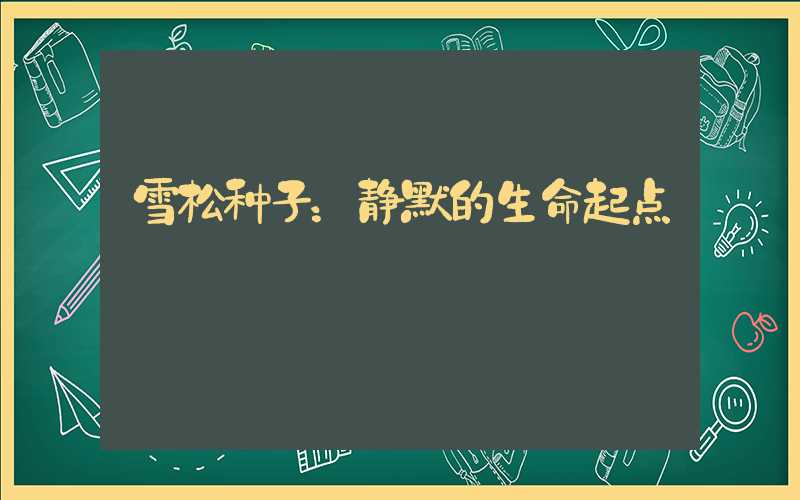 雪松种子：静默的生命起点