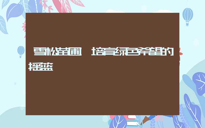 雪松苗圃:培育绿色希望的摇篮