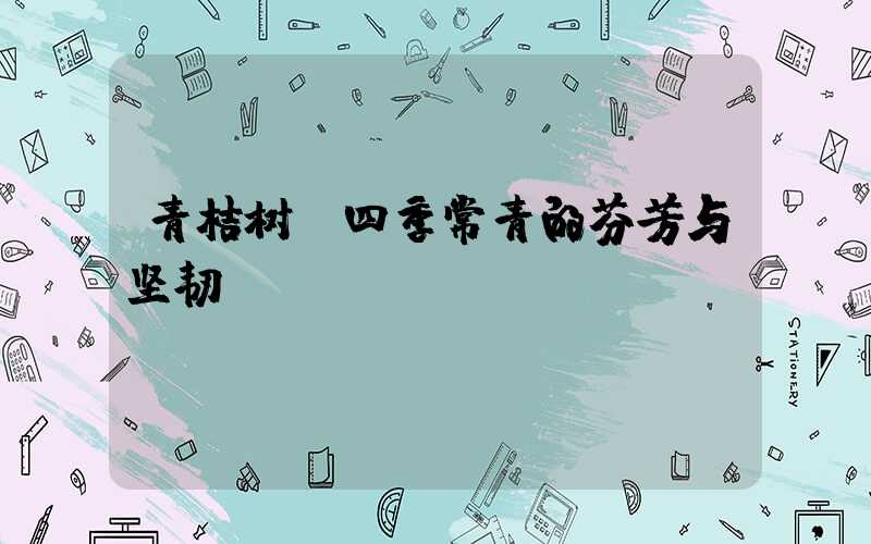 青桔树:四季常青的芬芳与坚韧