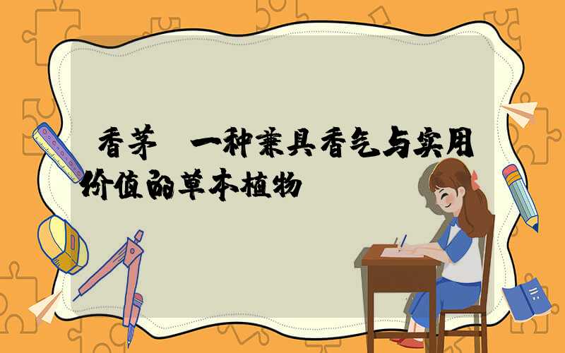 香茅:一种兼具香气与实用价值的草本植物