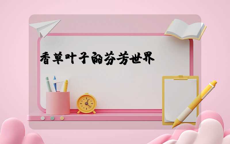 香草叶子的芬芳世界