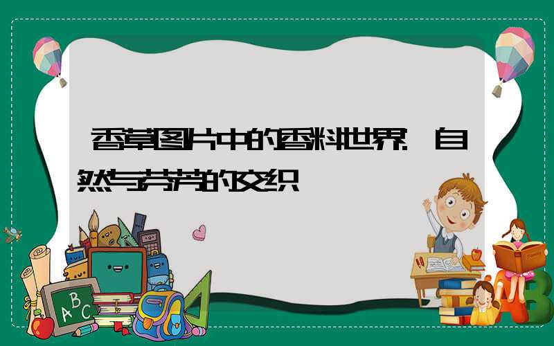 香草图片中的香料世界:自然与芬芳的交织