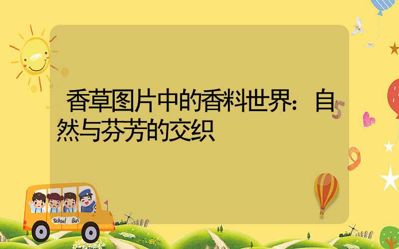 香草图片中的香料世界：自然与芬芳的交织