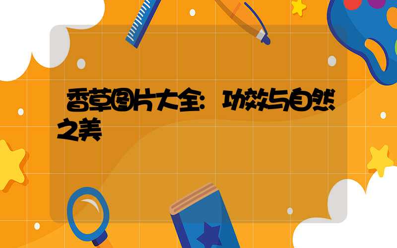 香草图片大全:功效与自然之美