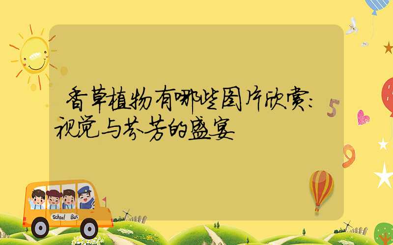 香草植物有哪些图片欣赏：视觉与芬芳的盛宴