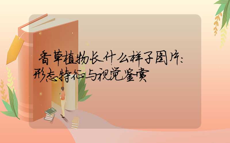 香草植物长什么样子图片：形态特征与视觉鉴赏