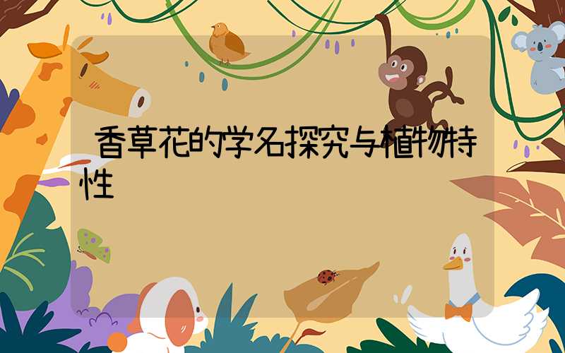 香草花的学名探究与植物特性