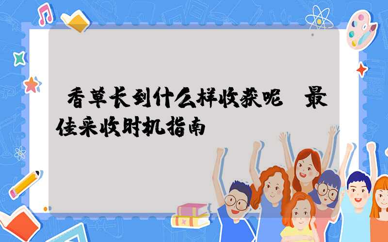 香草长到什么样收获呢:最佳采收时机指南