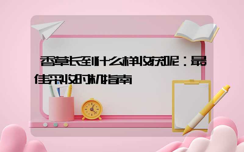 香草长到什么样收获呢：最佳采收时机指南