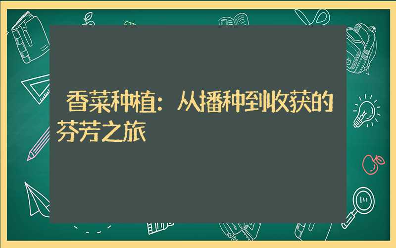 香菜种植：从播种到收获的芬芳之旅