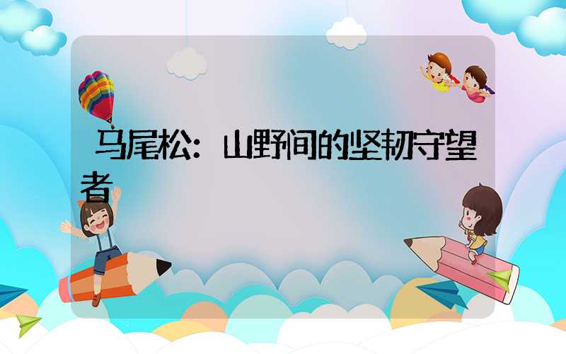 马尾松：山野间的坚韧守望者