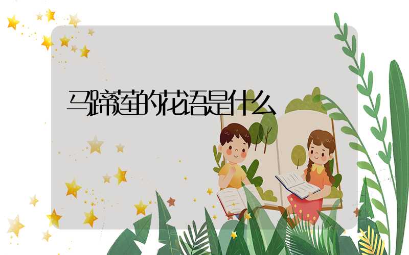 马蹄莲的花语是什么