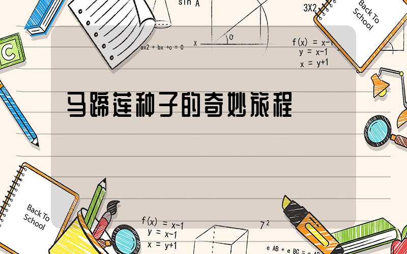 马蹄莲种子的奇妙旅程