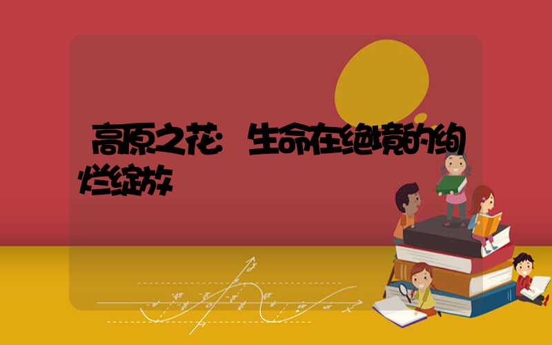 高原之花:生命在绝境的绚烂绽放