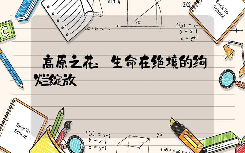 高原之花：生命在绝境的绚烂绽放