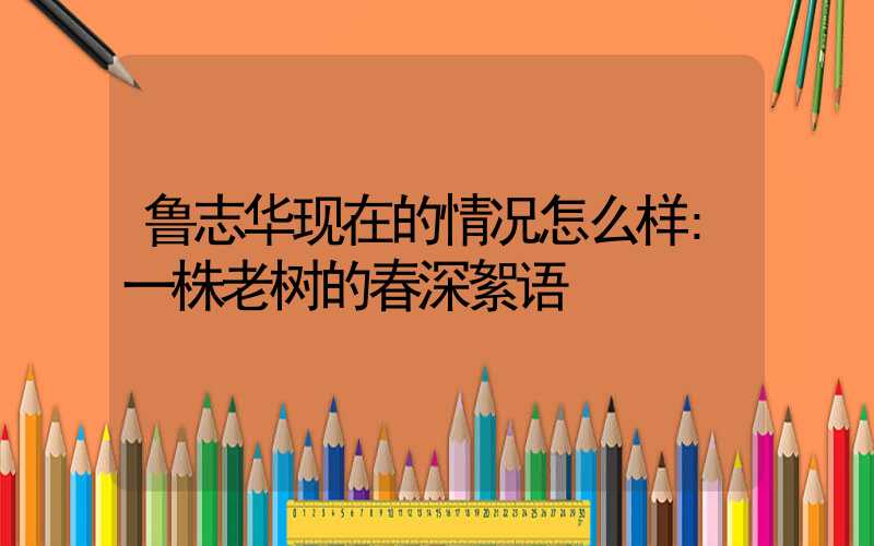 鲁志华现在的情况怎么样:一株老树的春深絮语