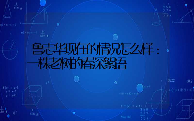 鲁志华现在的情况怎么样：一株老树的春深絮语