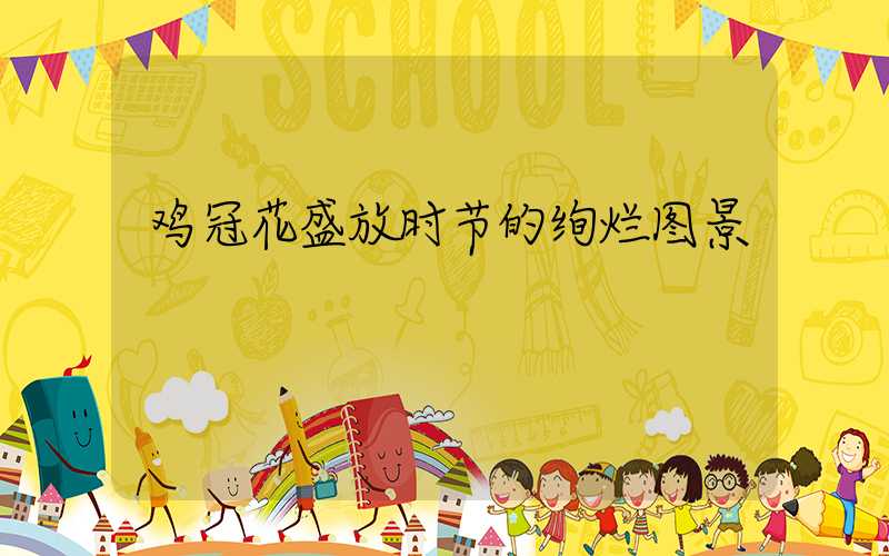 鸡冠花盛放时节的绚烂图景