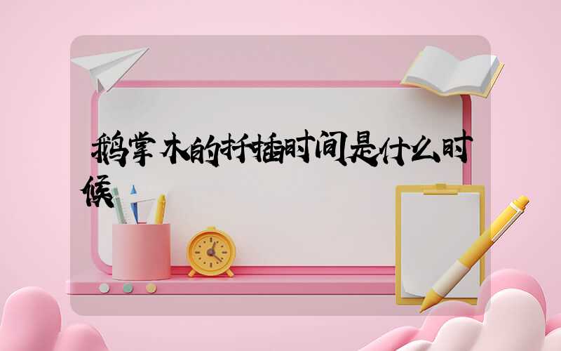 鹅掌木的扦插时间是什么时候