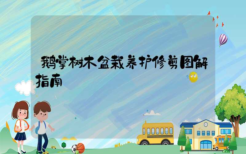 鹅掌树木盆栽养护修剪图解指南