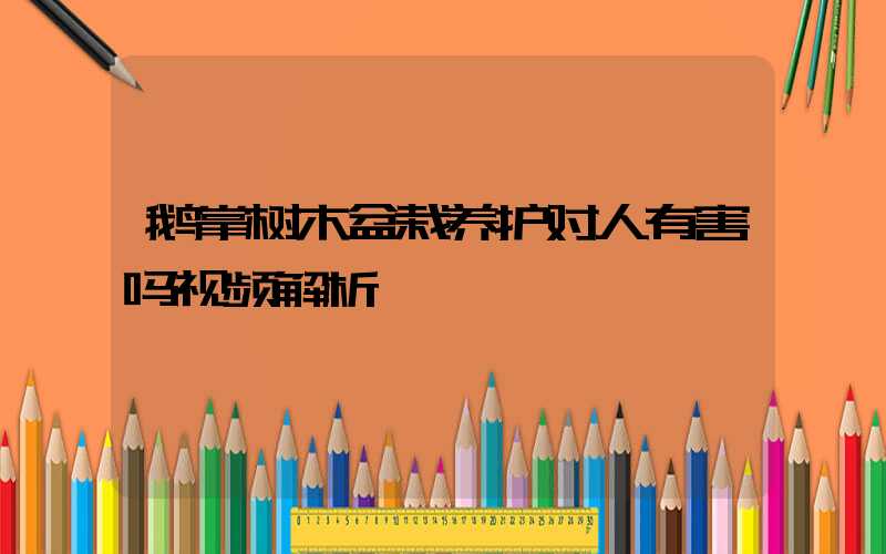 鹅掌树木盆栽养护对人有害吗视频解析