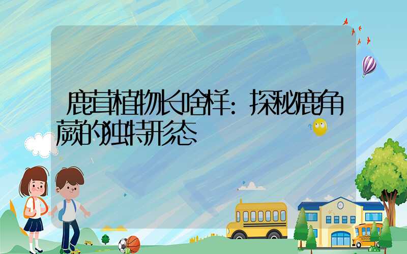 鹿茸植物长啥样:探秘鹿角蕨的独特形态